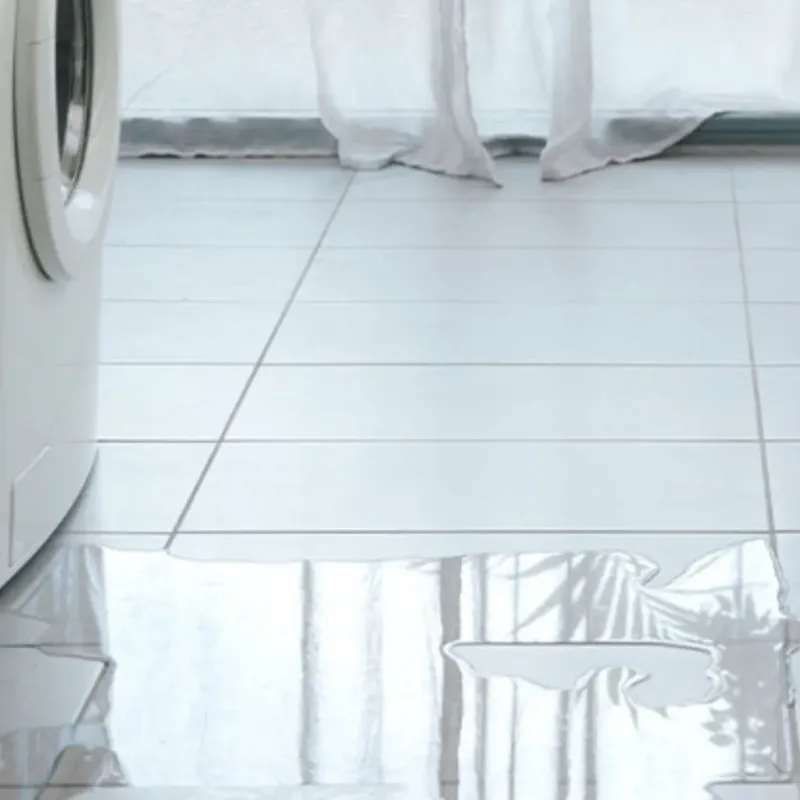 Appliance Leak Cleanup in Lancaster, WI