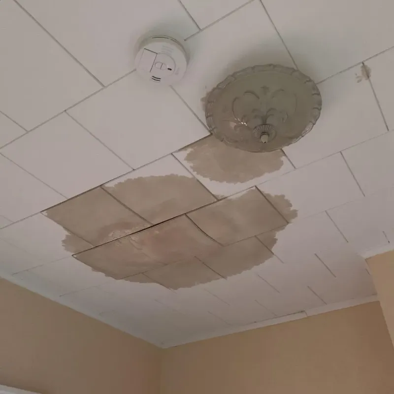 Ceiling Water Damage Repair in Lancaster, WI